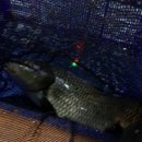 아싸실내낚시터 이미지