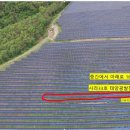 사라2태양광발전소 이미지