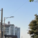 고양능곡13 이미지