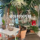 강남로(정하동) | 안동 정하동 낙동강 뷰 디저트 카페 '유아히어 카페'