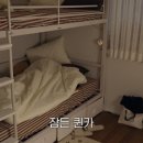 파트라슈 이미지