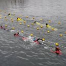 남해-206 이미지