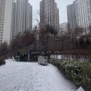 신곡목장 | 일단 1월