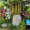 오프닝 파티 Night Fever | 우붓 무료 요가 페스티벌 | 발리 스피릿 페스티벌 (요가반, 4월 15~16일 무료)