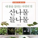 자연의맛 이미지