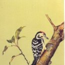 생활자수&전통매듭 이미지