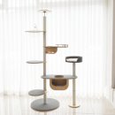 오로라 캣 이미지