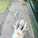 동화나라 애견 이미지