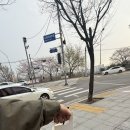 성모엔젤약국 이미지