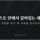 사람 그리고 새 이미지