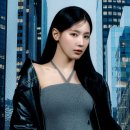 로즈시티 이미지