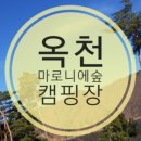 뉴 마로니에 이미지