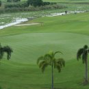 유니카트 이미지