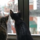 한강 행정사사무소 이미지