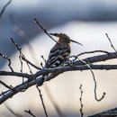 금와습지 생태공원 이미지