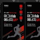 스피드메디