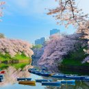 진보초등학교 이미지