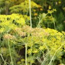 약초와산이야기 이미지