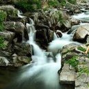 물처럼 바람처럼 이미지