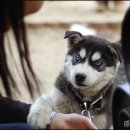 150034 이미지