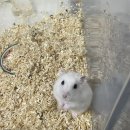 특별한 동물가게 광주점 이미지