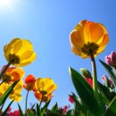 선하우스 이미지