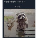 달리아 네일 이미지