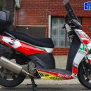 시티스포츠 이미지