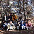 안성 용인대 가온누리 태권도 이미지