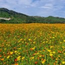 근남작은도서관 이미지