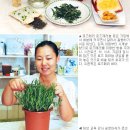 라이프생활용품 이미지