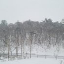 미향아구탕