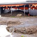 왕궁한우축산 이미지