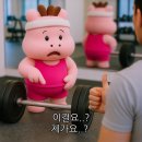 랩스 반석점 이미지