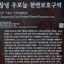 우포늪주차장 이미지