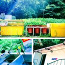 솔밭쉼터 이미지