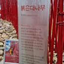 와이앤미