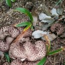 해산농장 이미지