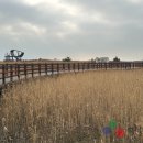 [부산비엔날레]2025바다미술제, 최종 참여작가 공개 이미지