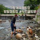 가평계곡캠핑장 밤벌캠핑장(애견동반가능)