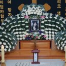 에스텔
