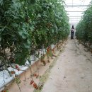 학생농장 이미지