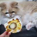 공차공주