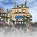 [파리 여행] 파리 디즈니랜드 라따뚜이 (빠르게 타는 방법, 싱글라이더 대기 시간, 탑승 후기)
