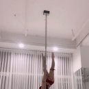 다시 폴 시작. 요즘 나의 일상/ 인버트좀알려줘!!