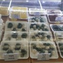 창원도계부부시장 이미지