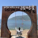 123 | [거제 근포 땅굴] 아침 일찍 가면 인생샷 100% 성공! 무료 주차 및 오픈런 후기