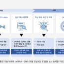 에스티팜 이미지