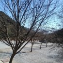 고길동 캠핑장 이미지