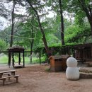 남이섬설1 이미지